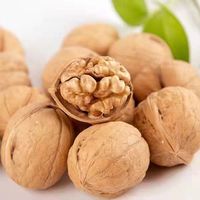 Gedroogde dunne walnoten, bulk, puur natuurlijk, gezonde noten, smakelijke walnoten, verse gepelde dunne walnoten