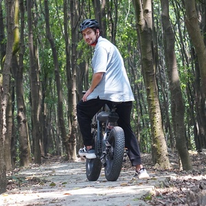 Direktverkauf ab Werk Rutschfestes und Verschleißfestes E-Bike Elektrisches Fahrrad Preis Schnelles Elektrofahrrad - Product Image 3