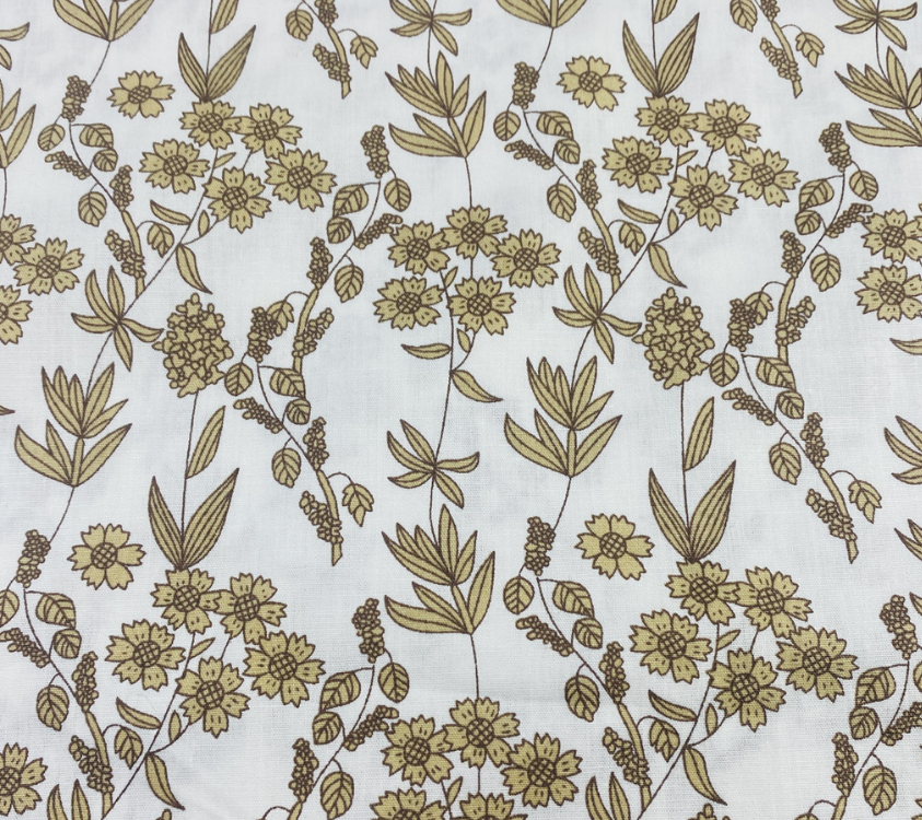 F23510 # แอปริคอทด้านล่าง