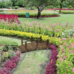 Puente de Jardín de Madera de Abeto 60 x 26.5 x 19 con Pasarela Curva y Barandillas Laterales para Patios Exteriores, Modelo D0100H5EESP de Madera Teñida - Product Image 6