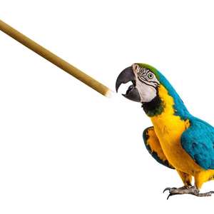 กระบอกฉีดยาป้อนอาหารนกขนาดใหญ่ 100 มล. พร้อมหลอดยาวและลูกยางสำหรับป้อนยาสำหรับนกแก้วตัวเล็กและนกขนาดเล็ก - Product Image 3