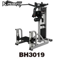 Machine de rotation des hanches pour salle de sport/maison, prix promotionnel, fabrication commerciale pour salles de sport