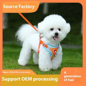 Set di Guinzaglio e Pettorina di Lusso per Cani, Senza Trazione, Regolabile, Imbottito in Poliestere, con Clip Riflettenti per Razze Piccole - Product Image 2