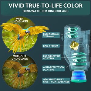 Binoculares Porro de 10x25 para adultos y niños, binoculares compactos para observación de aves, conciertos de teatro, juegos de caza y Deportes - Product Image 3