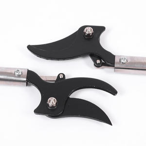 กรรไกรตัดกิ่งสูงสแตนเลส Basil ขนาด 1 ม. 1.5 ม. 2 ม. แบบ Bypass สำหรับเก็บผลไม้ เช่น ลิ้นจี่ - Product Image 3