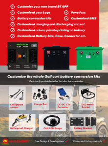 Drive Long Distance Lithium <strong>LiFePO4</strong> <strong>Batteries</strong> 70.4V 105Ah 51.<strong>2V</strong> 72Ah Golf Cart <strong>Battery</strong> - Product Image 4
