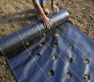 Tela cuadrada perforada para control de malezas, tela tejida para cortar agujeros, tela para esterilla de malezas para árboles e invernaderos - Product Image 2