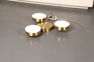 Lámpara de Techo LED de Estilo Natural Personalizada para Decoración de Interiores - Product Image 6