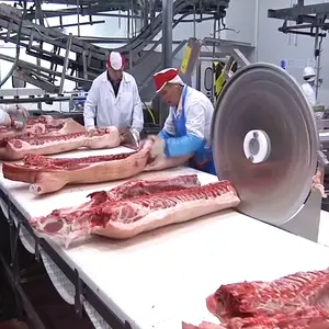 Complete Butcher Plant For Sow Slaughter Line Boar Abattoir Equipment Hog Slaughterhouse - Product Image 1