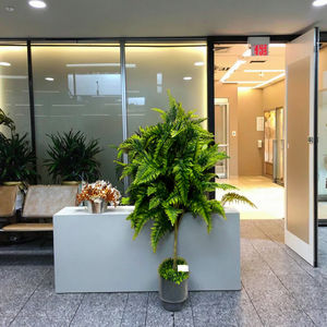 Arbre d'olivier en bonsaï, plante artificielle verte en pot de haute qualité, simulation d'arbres verts, décoration de salon, jardin, cuisine, vente en gros - Product Image 5