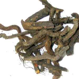 Baliospermum Montanum, Raíz de Dantimool Silvestre, Hierba Cruda Seca, Raíz de Danti Mool de la India - Product Image 3
