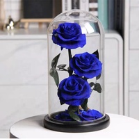 Rose éternelle sous dôme en verre avec éclairage de LED, fausse fleur, pour la saint-valentin, pour un cadeau romantique, 9 pièces