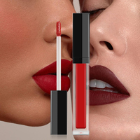 Rouge à lèvres liquide mat vegan en gros, personnalisable avec logo, longue tenue, sans étiquette