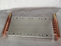 Radiateur à plaques refroidi par eau en aluminium et cuivre avec robinets en laiton, conçu sur mesure