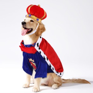 Otoño Invierno traje de dos piezas para mascotas perro de Navidad rey corona <span class=keywords><strong>capa</strong></span> traje gorra <span class=keywords><strong>capa</strong></span> para Celebración del Año Nuevo chino - Product Image 1