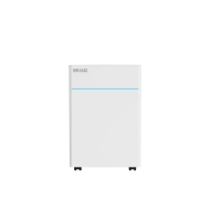 Mini déshumidificateur d'air portable silencieux pour vêtements, 10L, réutilisable, pour la maison