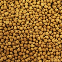 Machine automatique de fabrication de granulés d'aliments flottants pour poissons à haute productivité pour l'aquaculture, capacité de 800-1000 kg/h, pour usine
