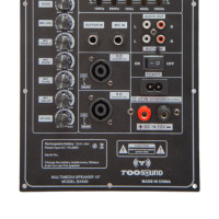 BT 5.3 Yüksek Güçlü DSP Amplifikatör Kartı Dış Mekan Ses Arabası Hoparlörü 12V 4.5AH Stereo Alıcılar ve Amplifikatörler