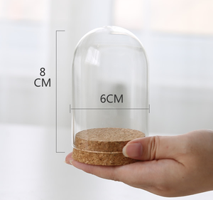 7x12cm Glass Dome with Cork
