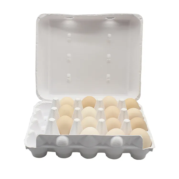 Kotak karton telur pertanian Biodegradable 100% cetakan bubur warna kustom baki telur ayam