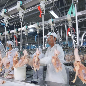 1500Bph pollo <span class=keywords><strong>sacrificio</strong></span> para la <span class=keywords><strong>venta</strong></span> para Filipinas - Product Image 5