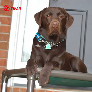 Single Simple Design Erhöhtes Hunde bett mit Schienen Metall Aluminium Indoor Erhöhtes Hunde bett Nicht Rost und langlebigstes Hunde bett - Product Image 4