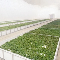 Membrane gonflable à air structurelle gonflable serre agricole structure à membrane pneumatique dôme gonflable à air