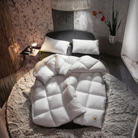 Couette en fibre de duvet d'oie Grand White Goose, taille Queen, chaleur supplémentaire, duvet d'hiver moelleux, insert de couette hypoallergénique, 75% de garnissage en plumes d'oie