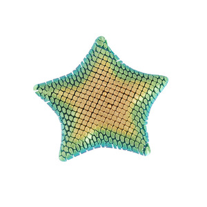 Juguete Promocional de Regalo, Estrella de Mar Suave, Modelo Impreso en 3D, Modelo Articulado, Adorno Colorido - Product Image 4