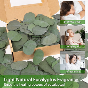 Feuilles d'eucalyptus naturelles personnalisées 100% feuilles d'eucalyptus préservées pour confettis de mariage/décoration de gâteau - Product Image 6