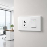 Panneau mural modulaire pour interrupteur et prise en blanc brillant, interrupteur 1 voie et prise universelle, série 120 16A 250V, panneau combiné