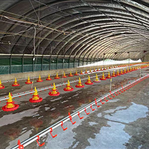 Hoàn toàn tự động xúc xích thức ăn tự động dòng hệ thống chăn nuôi gia cầm trang trại thiết bị Gà nhà uống hệ thống cho ăn cho động vật feeders - Product Image 1