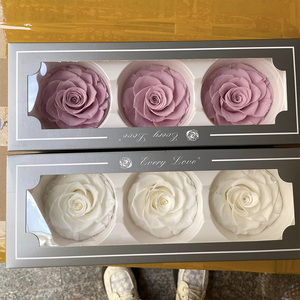Rosa Eterna, Rosa Preservada, Flor Eterna, Infinita, Para Siempre, Rosas Eternas Preservadas de 8cm y 9cm - Product Image 1