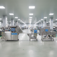 Machine à fabriquer des galettes de viande LI ZHI, contrôle par écran tactile, machine à galettes de bœuf, machine automatique à former des hamburgers AMF600-V, moteur