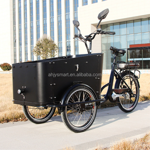 Bestseller dal Magazzino Olandese UE <span class=keywords><strong>Cargo</strong></span> Bike <span class=keywords><strong>Elettrica</strong></span> Olandese a 3 Ruote per Famiglie Bakfiets Rimorchio <span class=keywords><strong>Bici</strong></span> E-<span class=keywords><strong>cargo</strong></span> - Product Image 5