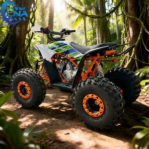 <span class=keywords><strong>Quad</strong></span> LNA <span class=keywords><strong>125</strong></span> cc à prix abordable, pièces courantes pour usage commercial - Product Image 1