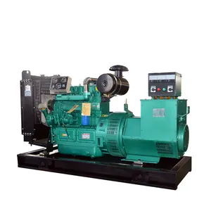Vlais Motor 250 KVA 200 kW Dieselgenerator und Stromerzeuger Herstellung in China