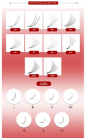 Extensions de cils en éventail préfabriquées 3D 6D 10D en gros, éventails étroits Promade, fournitures d'extensions de cils, éventails de volume en cachemire