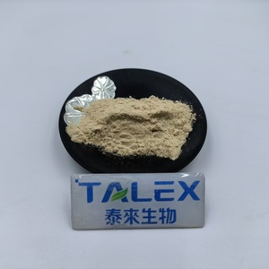 Rhizomucor Miehei Source Chymosin Enzyme Rennet Cheese Powder Microbial Cheese Rennet - Product Image 4