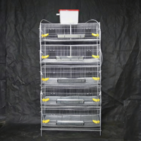 Cage à cailles de type H pour l'élevage avicole, équipement pour une utilisation optimale de l'espace