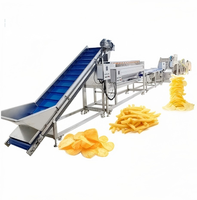 Automatische productielijn voor aardappelchips, continue productielijn voor het frituren van aardappelen voor de productie van aardappel snacks