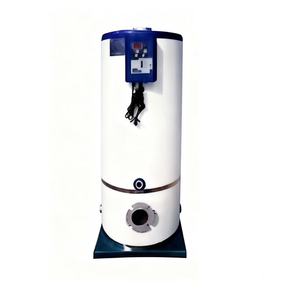 Générateur à gaz vertical entièrement automatique à faible consommation, usage industriel, surveillance à distance, garantie 1 an, alimentation électrique - Product Image 4