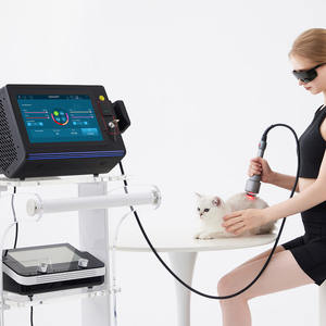 애완 동물 부상을위한 의료용 레이저 물리 치료 기계 30-60w 수의 레이저 치료 장치 - Product Image 5