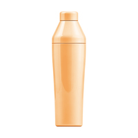 Offres Mixeurs Thermiques Professionnels en Acier Inoxydable 750ml - Outil Essentiel pour Barman