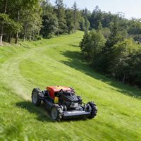 Tondeuse robotisée à fléaux télécommandée tout-terrain à moteur essence CE EPA pour l'agriculture, broyeur de bois, machinerie forestière