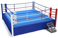 Formation professionnelle anneaux de lutte compétition taille personnalisée anneau de boxe à vendre en gros