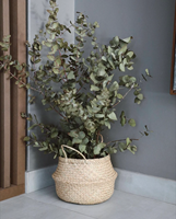 Boho panier en osier tissé jonc de mer paille osier ventre panier naturel blanchisserie stockage jonc de mer organisateur porte-plante décor à la maison