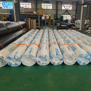 0.3-2mm HDPE Geo Membrane Géomembrane Revêtement de Barrage pour Poissons Ferme Piscine Étang Extérieur - Product Image 3