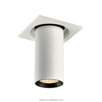 Éclairage de projet haut de gamme, boîtier cylindrique anti-éblouissement, projecteur LED orientable vers le haut et vers le bas pour solution d'éclairage architectural