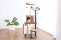 Grande tour d'escalade pour chat, plateforme de saut à plusieurs niveaux, structure en bois, arbre d'activité stable pour chat